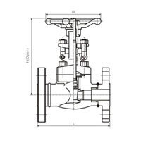 شیر کشویی فلنج دار کلاس 300 (flange gate valve)